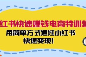 小红书快速赚钱电商特训营：用简单方式通过小红书快速变现！（55节）