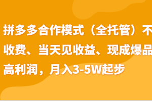 最新拼多多模式日入4K+两天销量过百单，无学费、老运营代操作、小白福利