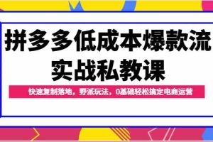 拼多多低成本爆款流实战私教课,快速复制落地,野派玩法,0基础轻松搞定电商运营
