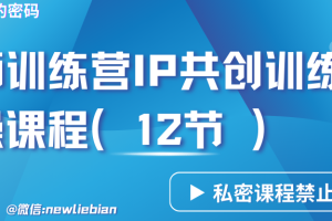 导师训练营3.0IP共创训练营私密实操课程（12节）-卖项目的密码成功秘诀
