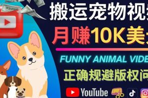 搬运TIKTOK视频到YouTube，并进行二次创作，月赚1万美元以上