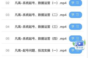凡高直播带货入门课：直播带货常见问题、起号与投流、新规后的主播话术调整