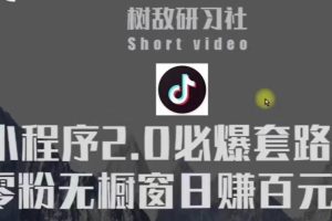 树敌研习社6月抖音赚钱课程：抖音小程序2.0必爆套路零粉无橱窗日赚百元玩法