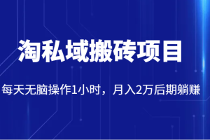 价值2980的淘私域搬砖项目，每天无脑操作1小时，月入2万后期躺赚