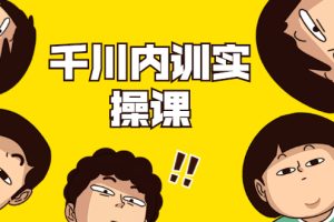 数据哥·千川内训实操课,轻松获取流量,直播带货变现(无水印)
