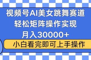 （13813期）视频号蓝海赛道玩法，当天起号，拉爆流量收益，小白也能轻松月入30000+