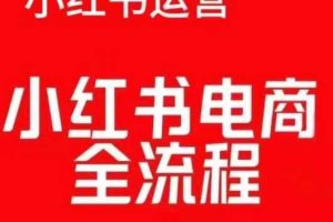 红薯电商实操课，小红书电商全流程