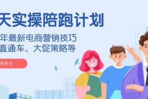 （14008期）淘天实操陪跑计划，2024年最新电商营销技巧，包括直通车、大促策略等