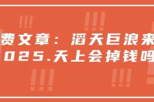付费文章：滔天巨浪来袭！2025天上会掉钱吗？