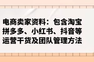 （14354期）电商卖家资料：包含淘宝、拼多多、小红书、抖音等运营干货及团队管理方法