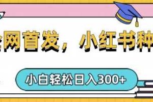 小红书种草，手机项目，日入3张，复制黏贴即可，可矩阵操作，动手不动脑【揭秘】