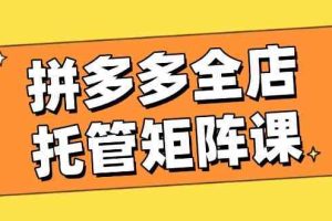 拼多多全店托管矩阵课，盈利动销玩法，高效计划设置，提升店铺效益