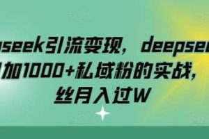 deepseek引流变现，deepseek被动日加1000+私域粉的实战，0粉丝月入过W