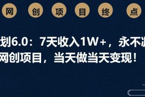 男粉计划6.0：7天收入1W+，永不凋谢的网创项目，当天做当天变现！