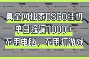 真全网独家CSGO挂机，单日捡漏1000+，不用电脑，不用养号