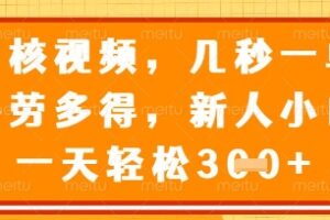 最新审核视频，几秒一单，多劳多得，新人小白一天轻松3张【揭秘】