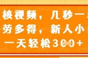 最新审核视频，几秒一单，多劳多得，新人小白一天轻松3张【揭秘】