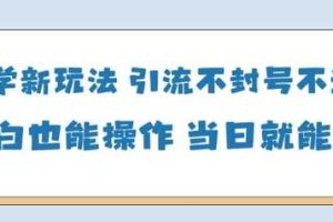 国学新玩法，引流不封号不违规小白也能操作，当日就能变现