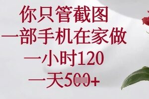 你只管截图，一部手机在家做，苹果安卓都可以，一小时120，一天5张+【揭秘】