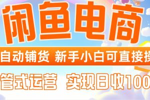 （14669期）闲鱼电商全自动铺货，新手小白可直接操作，托管式运营，日收1000+