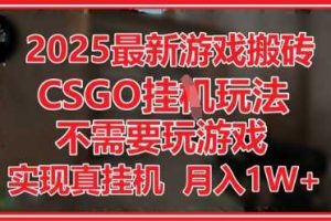 2025最新游戏搬砖，CSGO挂G，不需要玩游戏，实现真挂G，月入1W+【揭秘】