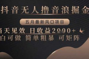 抖音无人撸音浪掘金，五月最新风口项目，当天见效，日收益多张，小白可做简单粗暴可矩阵【揭秘】