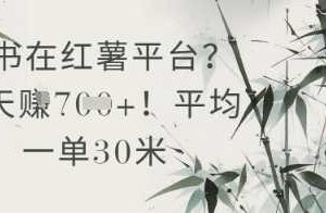 抄书在小红薯平台？平均一单30米，一天收益几张！
