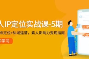 个人IP定位实战课-5期，3步精准定位+私域运营，素人影响力变现指南