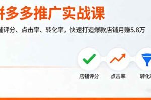 （16115期）拼多多推广实战课，店铺评分、点击率、转化率，快速打造爆款店铺月赚5.8万