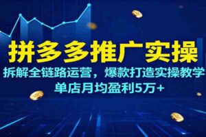 拼多多推广实操，拆解全链路运营，爆款打造实操教学，单店月均盈利5万+