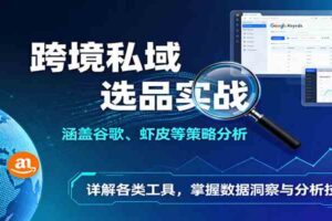 跨境私域选品实战：涵盖谷歌、虾皮等策略分析，详解各类工具，掌握数据洞察与分析技巧