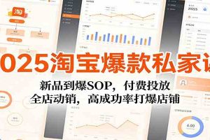 2025淘宝爆款私家课：新品到爆SOP，付费投放，全店动销，高成功率打爆店铺