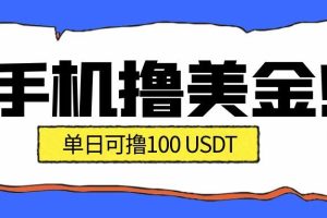 最新手机撸美金项目，单日产值100U+，2026年最新的风口项目